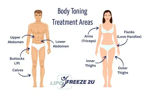 Graphic showing where you can have Body toning Treatment Huddersfield on your body